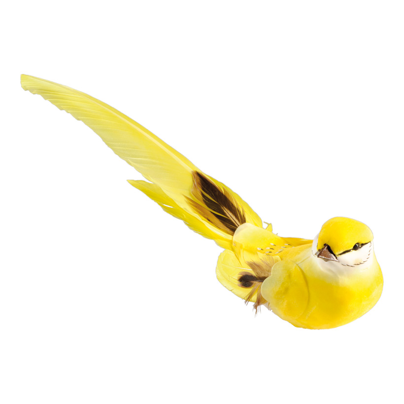 Bird with clip, 4x24cm, styrofoam, feathers