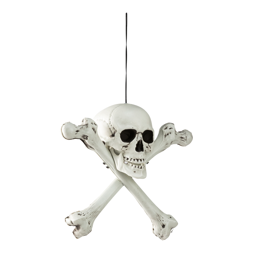 Skull head, 37x37x18cm out of plastic, with hanger