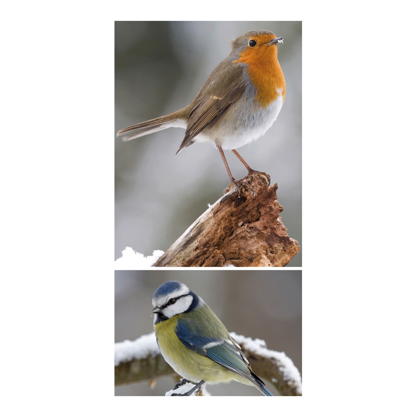 Banner Birds in winter, 80x200cm paper
