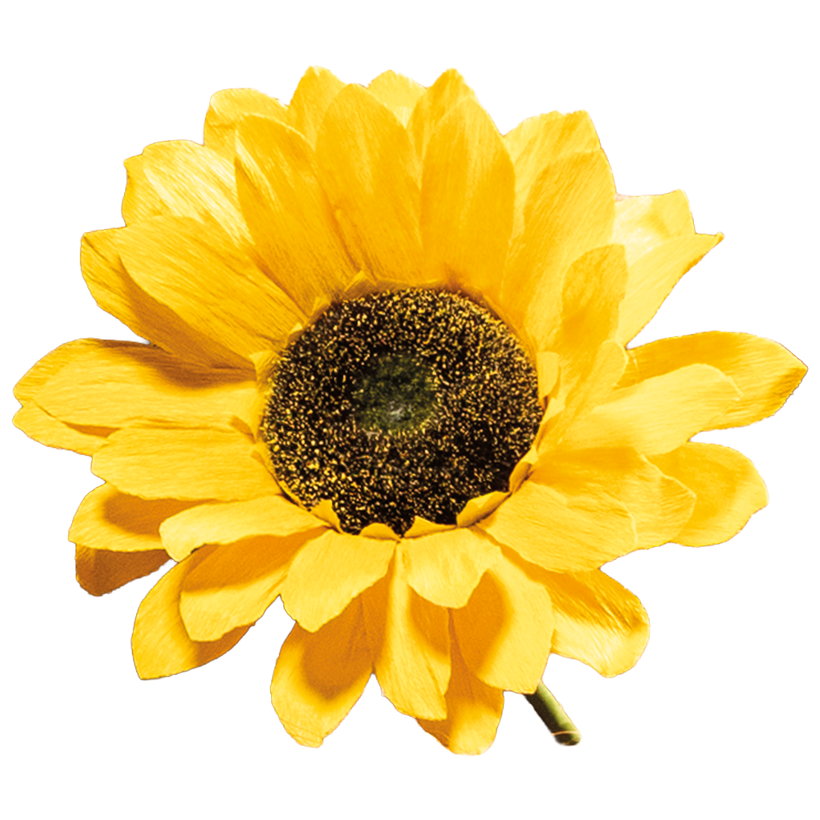 Sunflower, Ø 30cm out of paper, with short stem