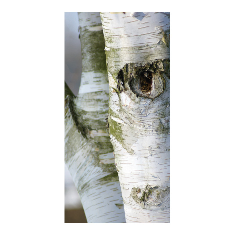 # Banner "birch trunk", 180x90cm paper