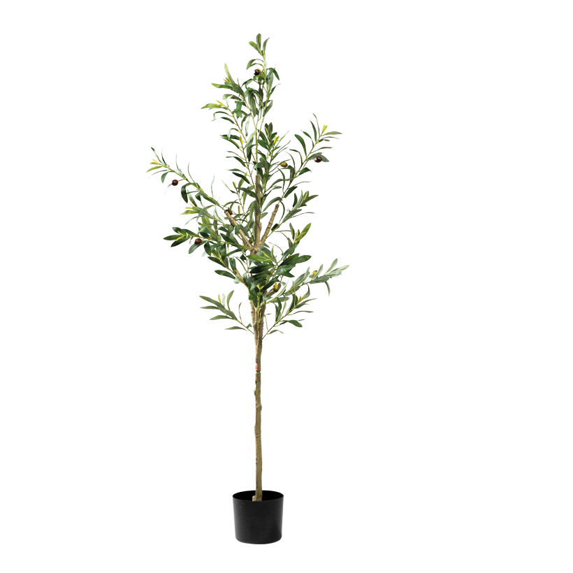 Olivenbaum, 150cm Topf: Ø 15cm 3-teilig, aus Kunststoff