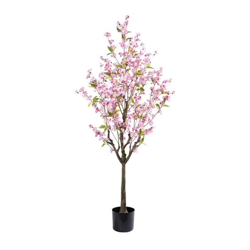 Cerisier en fleur, en pot, 150cm Topf: Ø16cm 304 fleurs, en plastique/soie synthétique