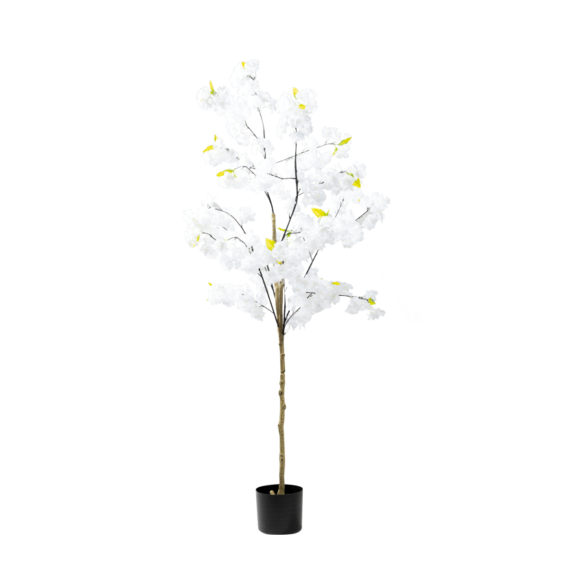 Cerisier en fleurs, 150cm Topf: Ø 15cm 2-pièces, en plastique/soie artificielle
