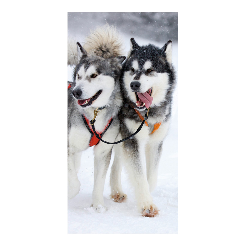 # Motivdruck "Huskies" 180x90cm Stoff