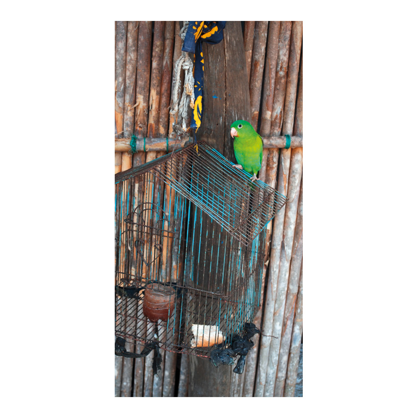 Motivdruck  Papagei, 80x200cm Stoff
