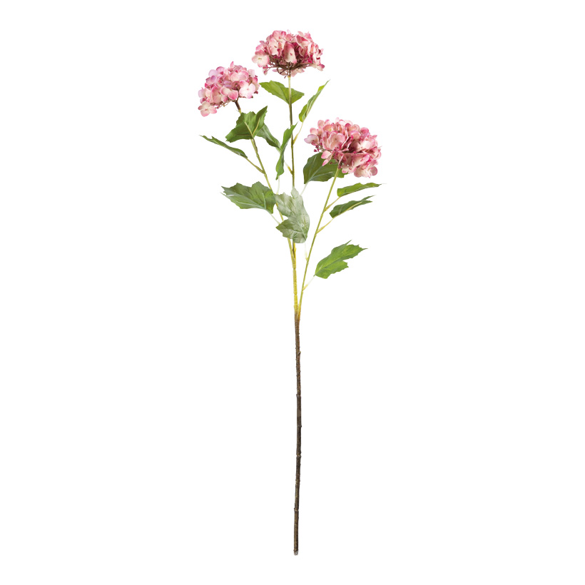 Hortensie, 66cm Stiel: 34cm aus Kunststoff/Kunstseide, biegsam