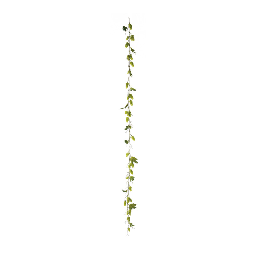 Guirlande d'houblon, 180cm 48 fois, avec 12 feuilles