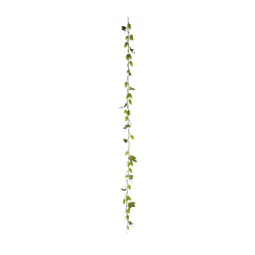 Hop garland, 180cm 48-fold, with 12 leaves