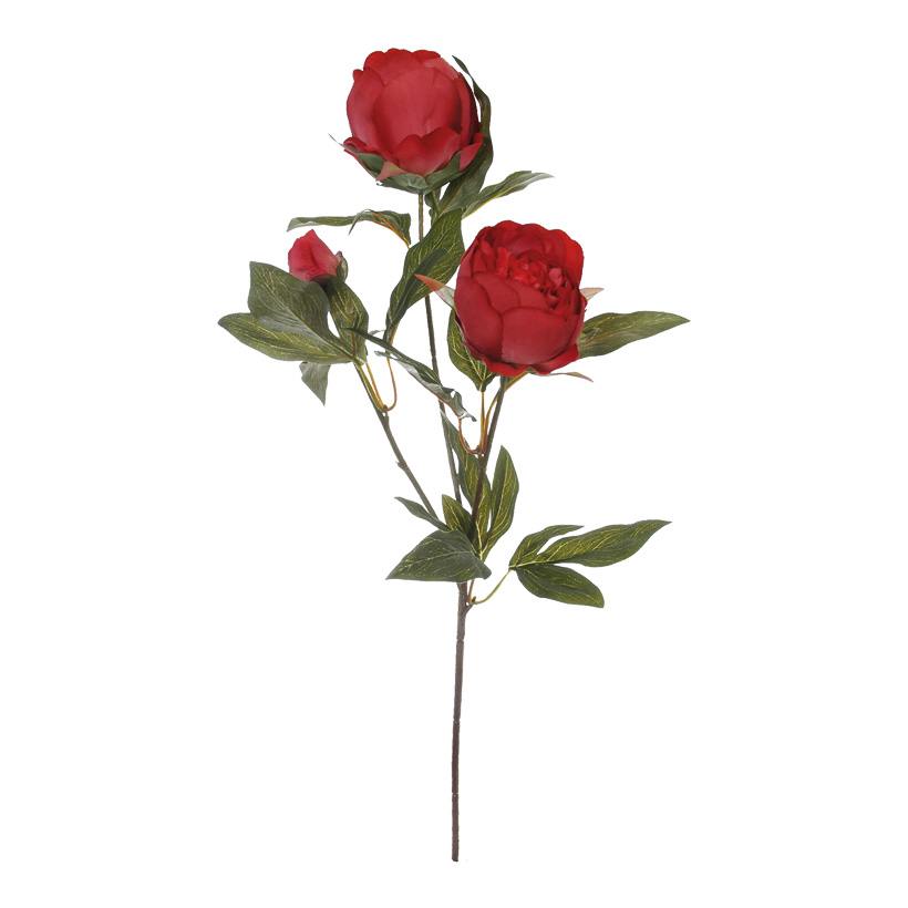 Peony sprig, 70cm 3-fold