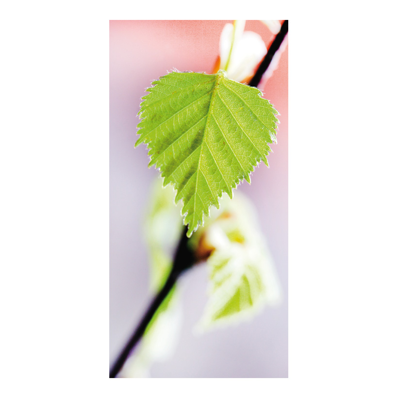 Motivdruck Blatt im Frühling, 80x200cm Stoff