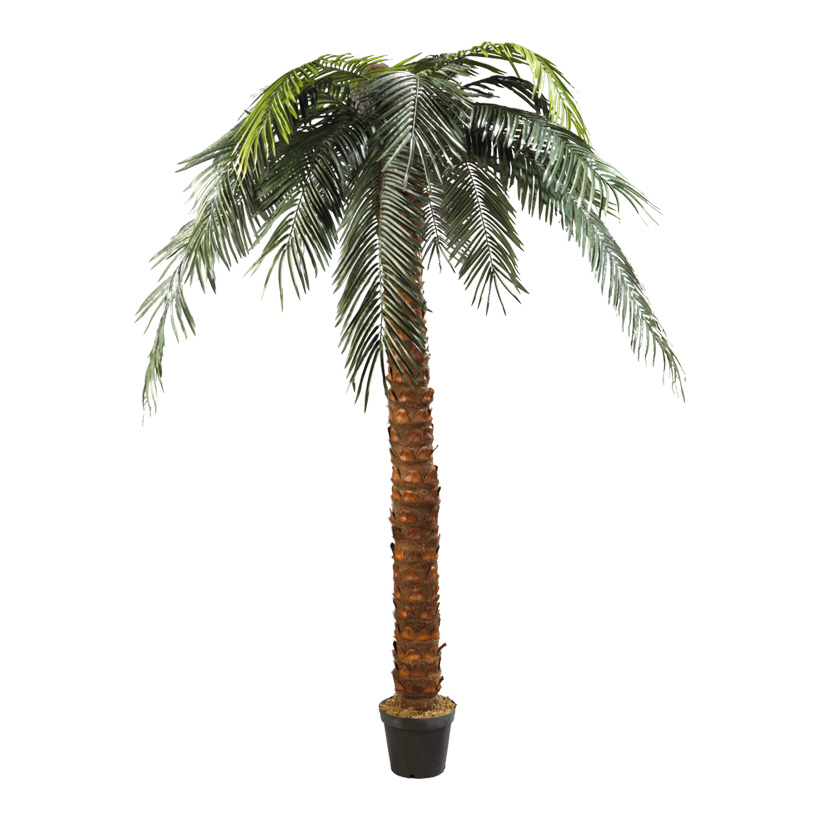 # Phoenix palm in pot, 300cm, plastic, artificial silk