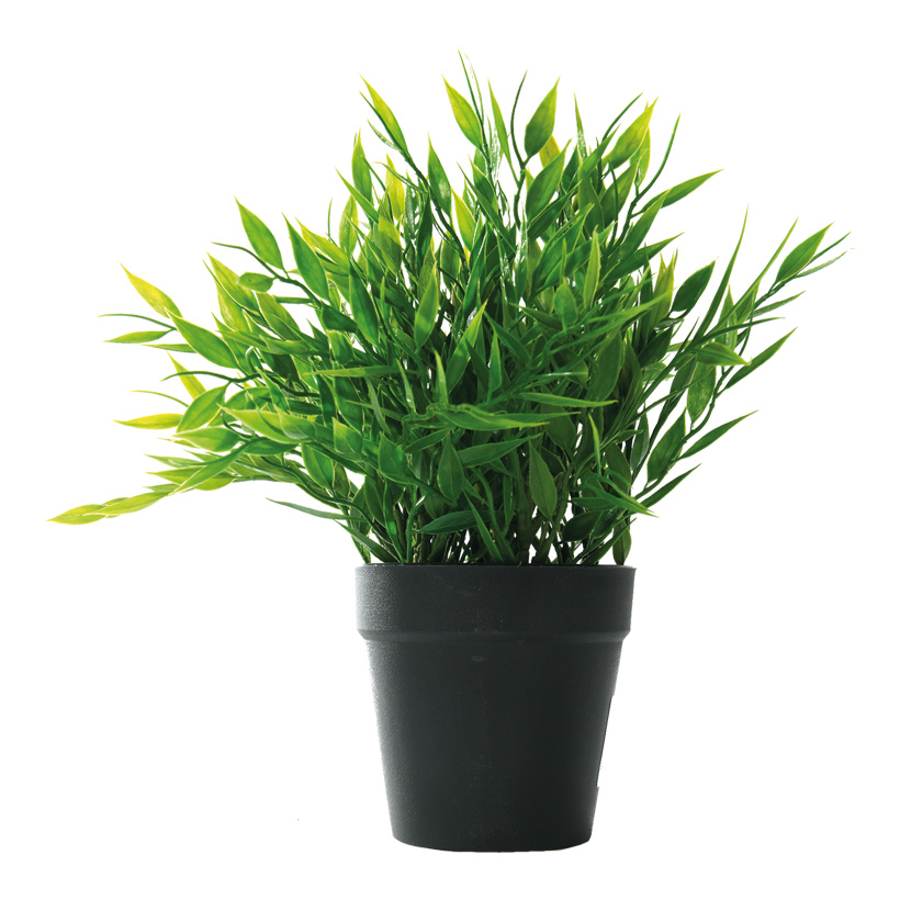 Bamboo leaves in pot, 24cm