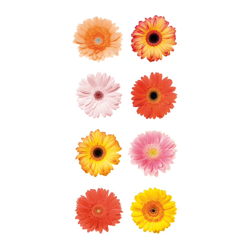 Banner Gerbera, 80x200cm fabric