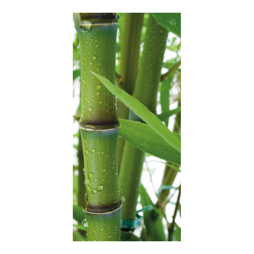 # Motivdruck "Bambus" 180x90cm Papier