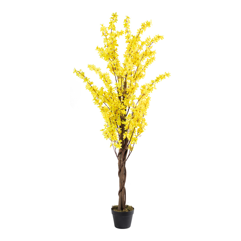 Forsythienbaum im Topf, 160cm Höhe 13cm, Ø 17cm aus Kunstseide/Kunststoff/Holz