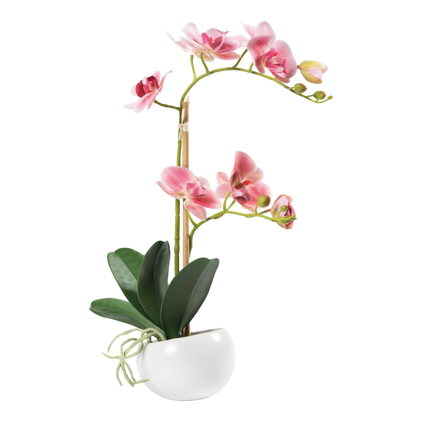 Orchid in pot, 48cm Topf: Ø10cm out of artificial silk/plastic, pot out of ceramic