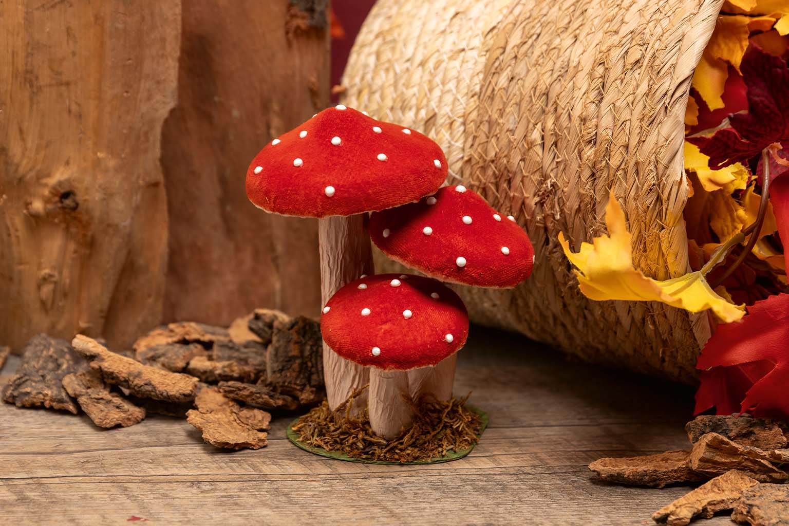 FLIEGENPILZ