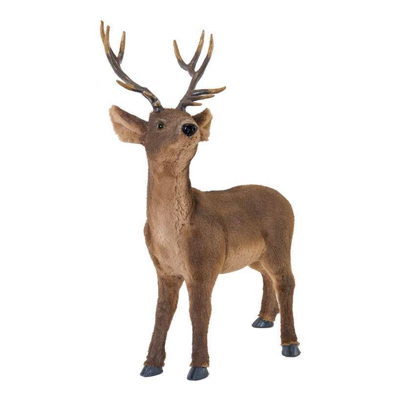 Cerf, 67x29x56cm debout