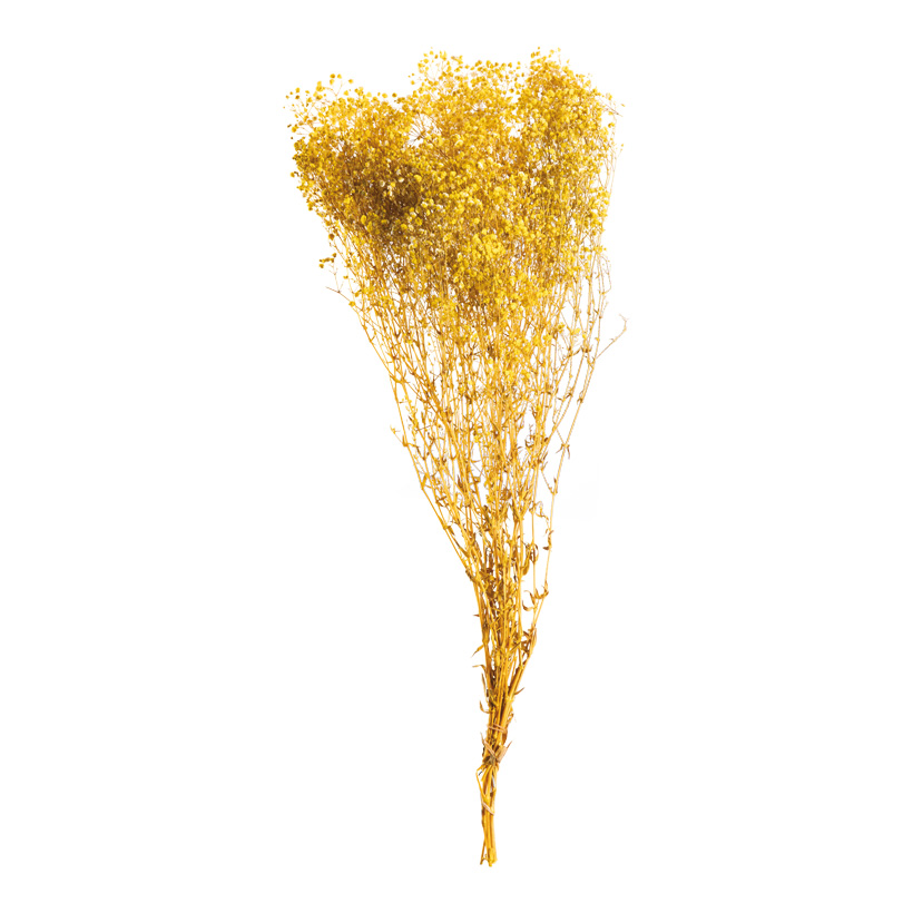 Bundle of dried flowers, 75-80cm ca. 120g out of styrofoam