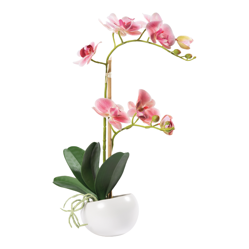Orchid in pot, 48cm Topf: Ø10cm out of artificial silk/plastic, pot out of ceramic