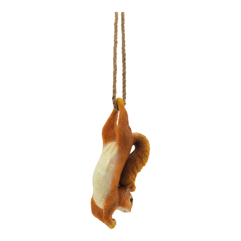 Eichhörnchen, 34x8x13cm aus Kunstharz, am ca. 38cm Seil hängend
