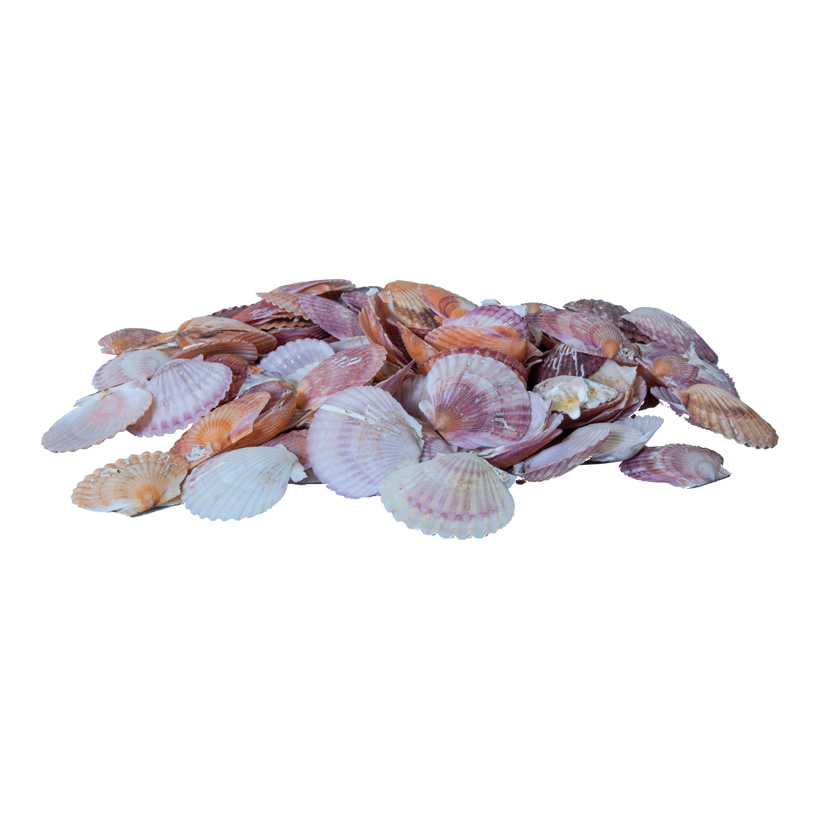 Muscheln im Netz, 4-6cm 300g