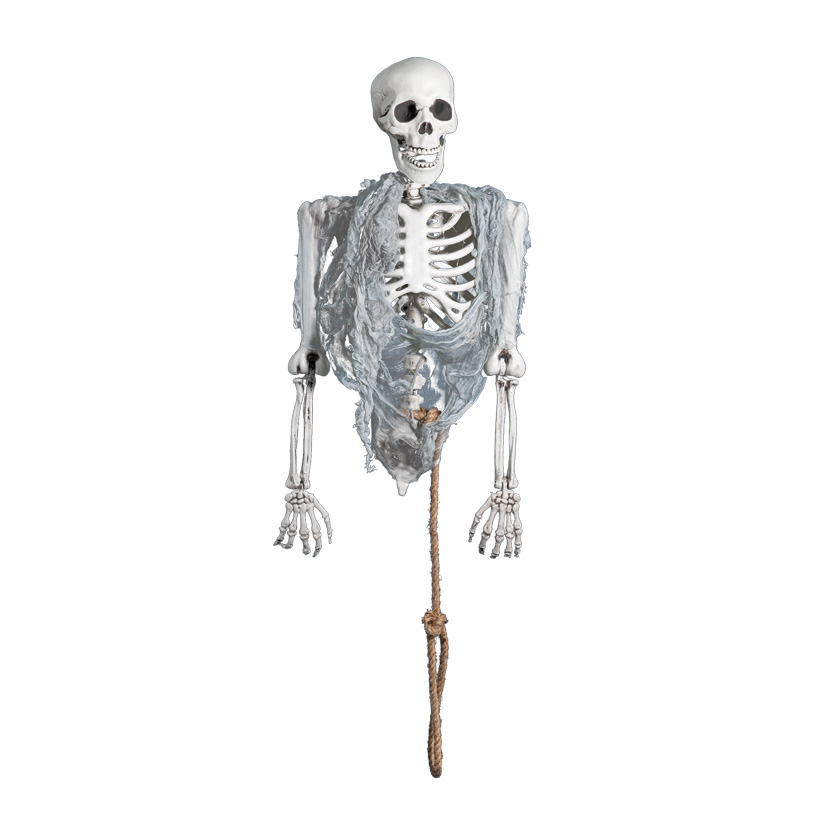 Skeletal torso, 80cm hanging upside down, with light effect, batteries incl.