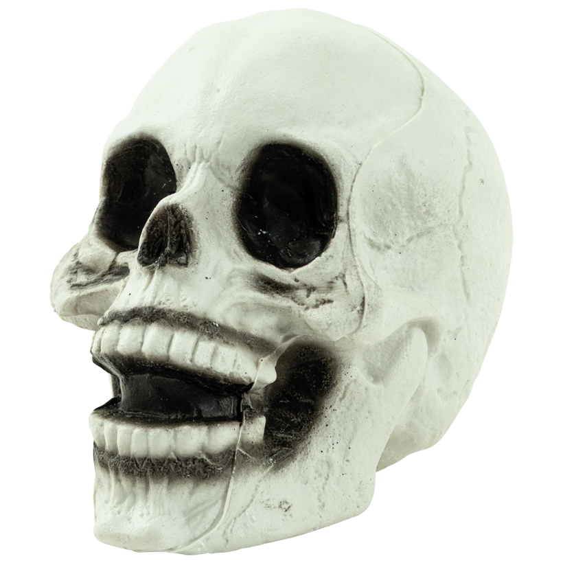 Skull, 13x13x15cm out of plastic