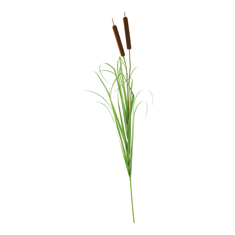 Bullrush, 120cm 2-fold, with onion grass