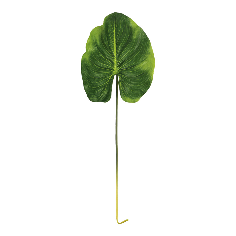 Canna leaf, 85cm