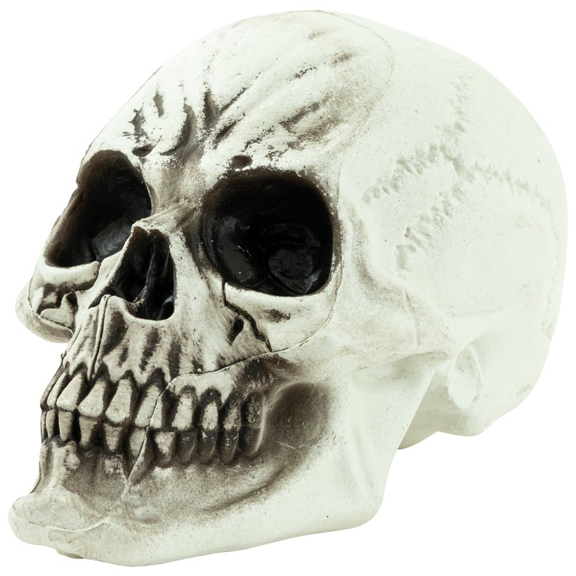 Skull, 18x16x24cm out of plastic
