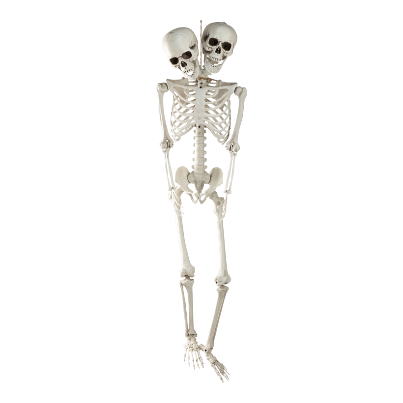 Skeleton, 165cm 2-headed, out of plastic, with hanger