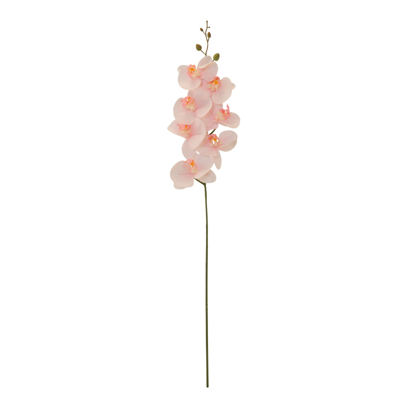 # Orchidee, 84cm aus Kunststoff/Kunstseide