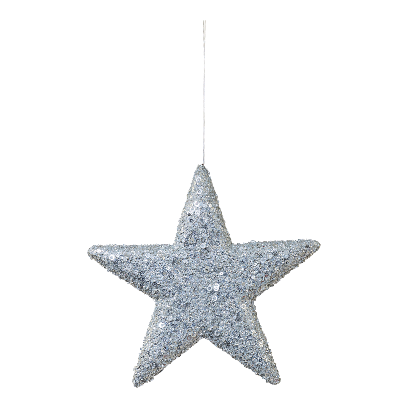 Stern mit Pailletten, Ø 30cm aus Kunststoff, flach, mit Hänger, beglittert