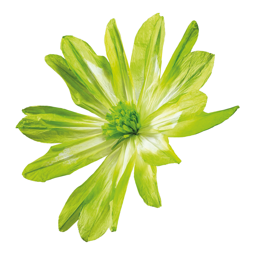 Flower head, _ 120cm Stiel: 34cm out of paper, flexible