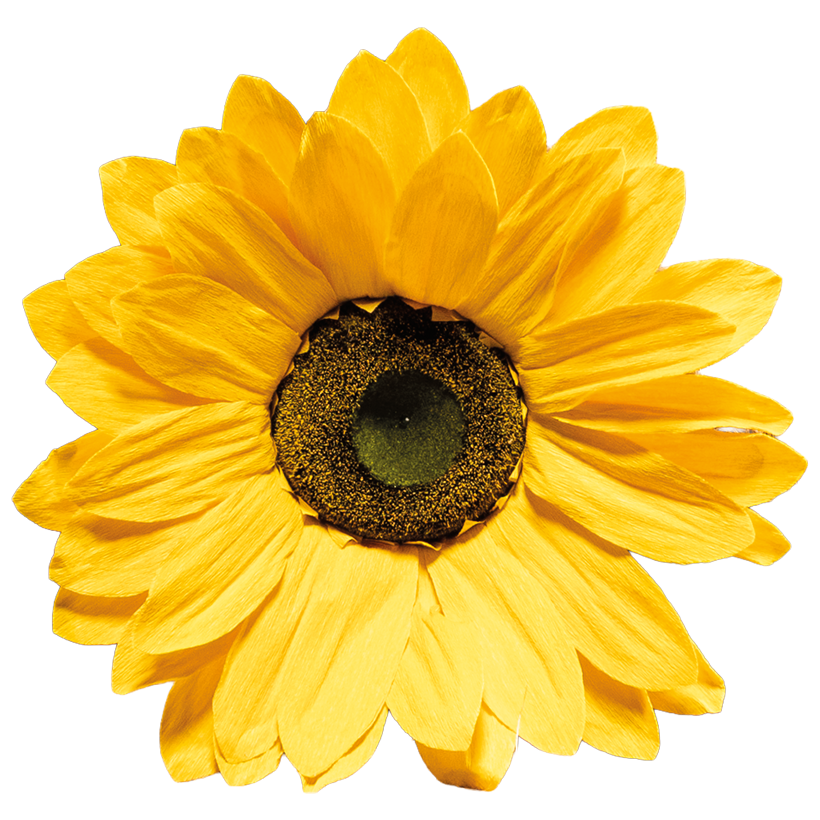 Sunflower, Ø 50cm out of paper, with short stem