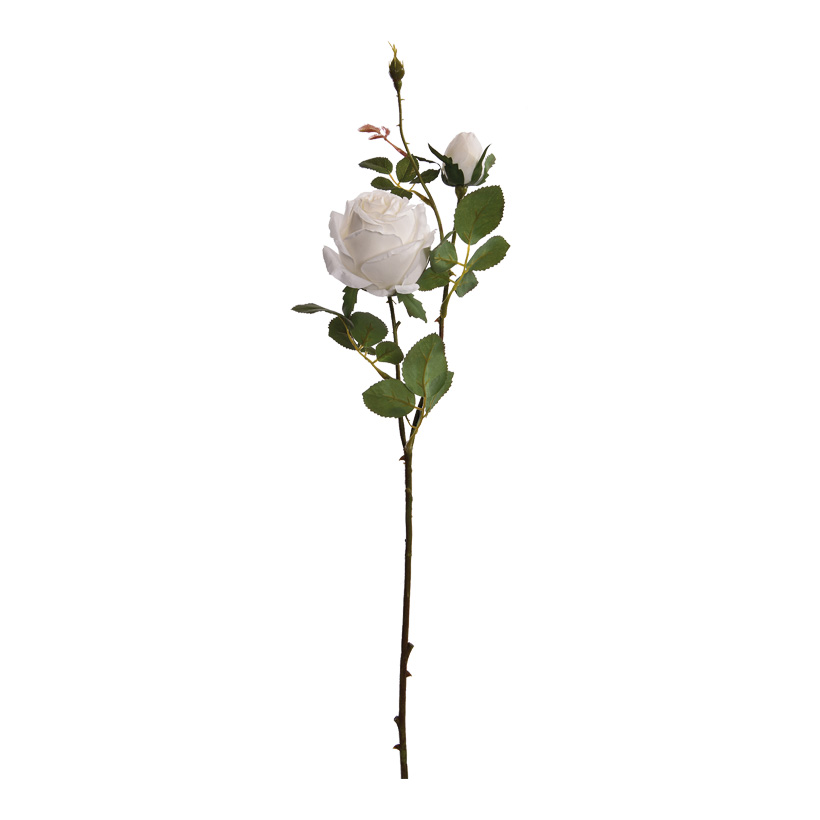 Rose sprig, 60cm 2-fold