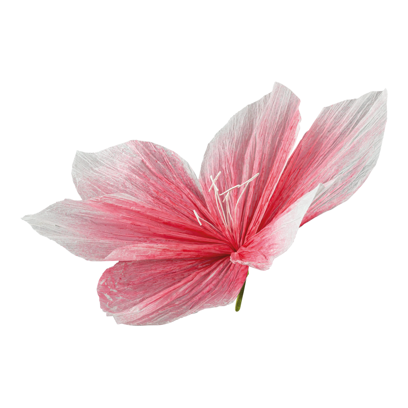Flower head, Ø 60cm Stiel: 5cm out of paper, with short stem, flexible