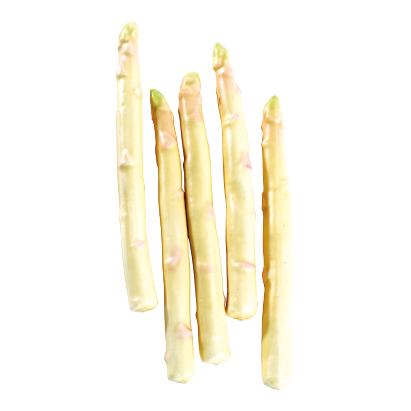 # Asparagus 22 cm lang, foam material, 5 pcs./bag