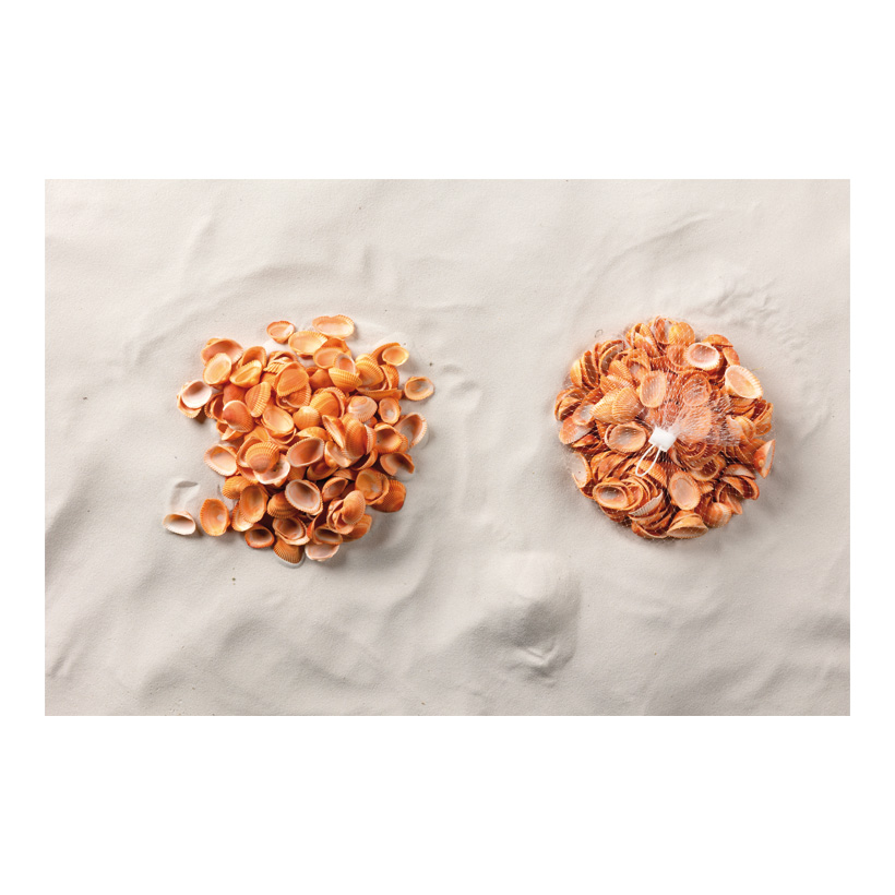 Muscheln im Netz, 300g 2-4cm