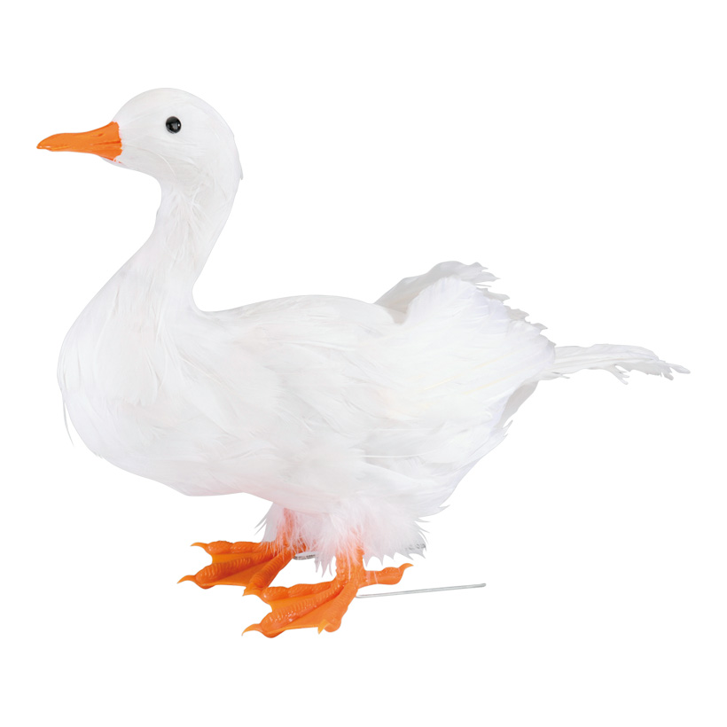 Canard colvert, debout, 27x34cm, Styrofoam avec plumes