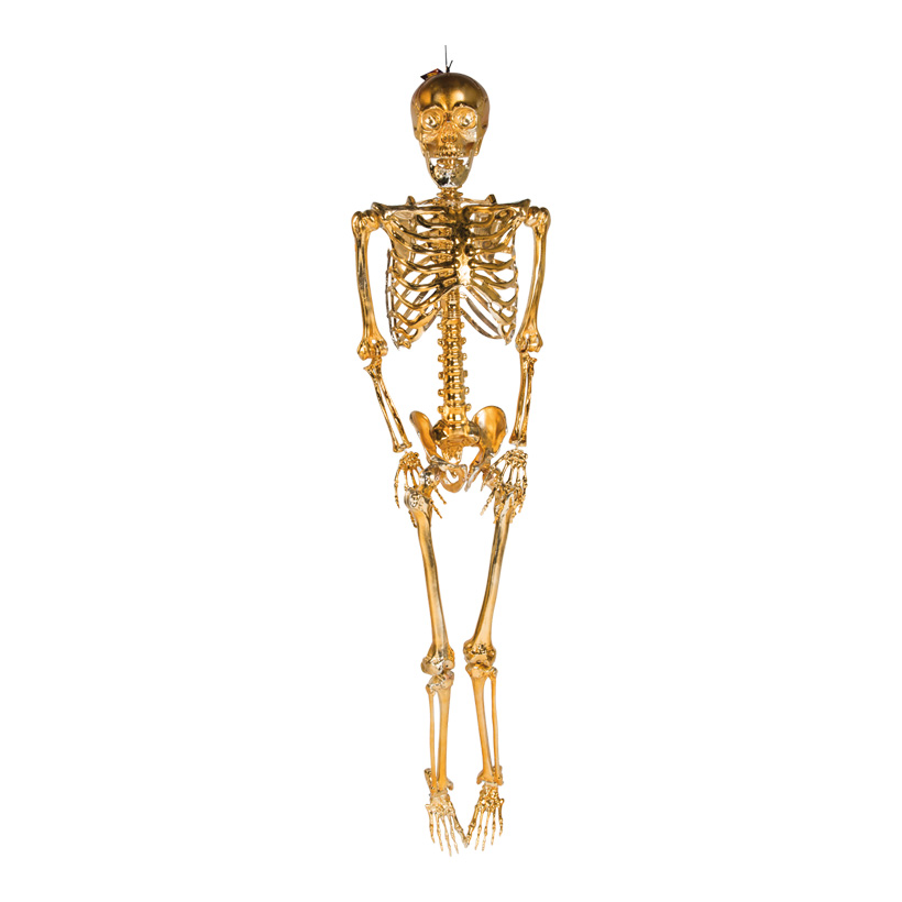 Skelett mit Hänger, 95cm beweglich, aus Kunststoff