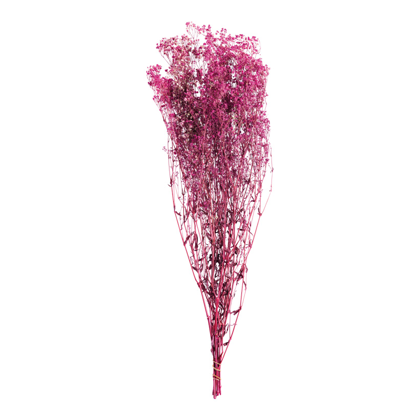 Trockenblumen-Bündel, 75-80cm ca. 120g aus Styropor