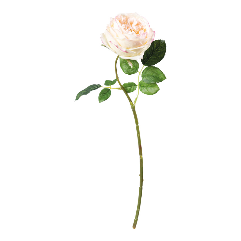 Rose, 45cm Stiel: 38cm aus Kunstseide/Kunststoff, biegsam, Real-Touch Effekt