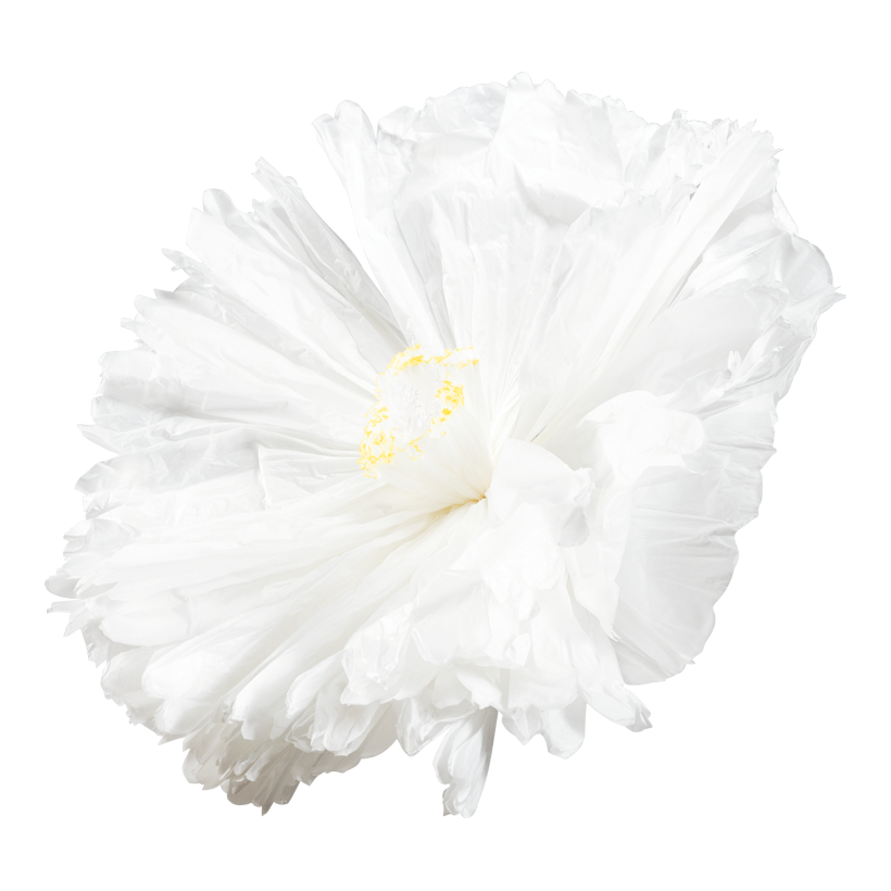 Fleur à tige courte, Ø 90cm Stiel: 15cm en papier, flexible